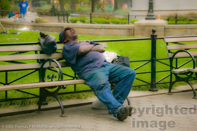 Union Square Park | New York | Stock Photo