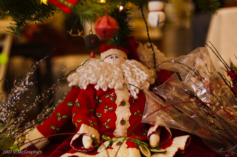 Santa in a Store | Stock Photo