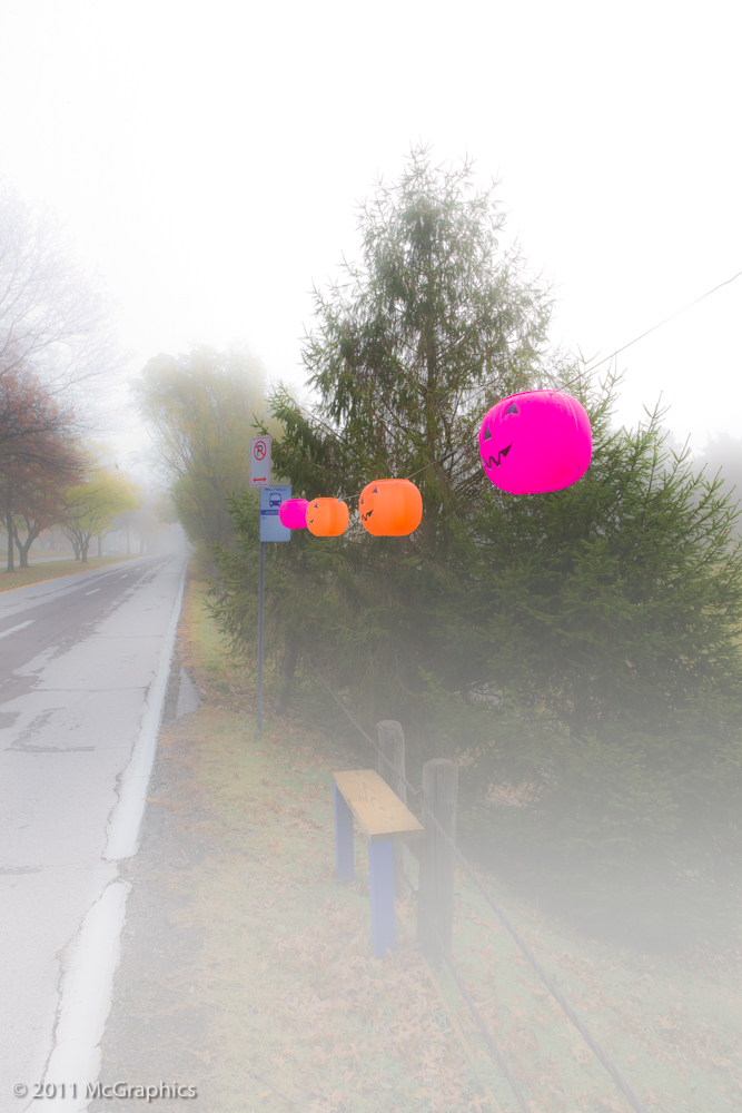 Foggy Bus Stop with Jack O Lanterns at Halloween