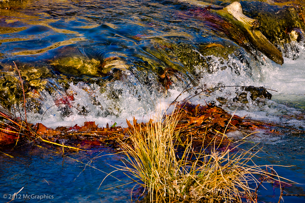 Creek Water Fall at Forest Park | Stock Photo