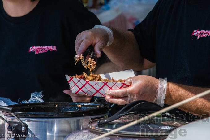 Wildwood BBQ Bash | Pulled Pork | Stock Photo